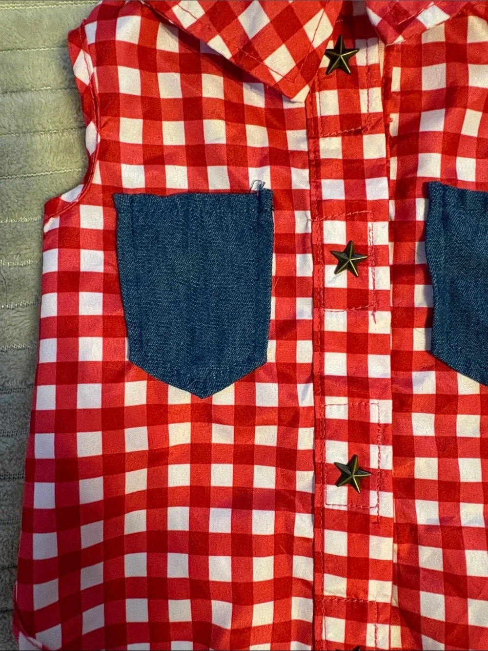 Red Gingham Dog Shirt with Denim Pockets - never worn, XS size